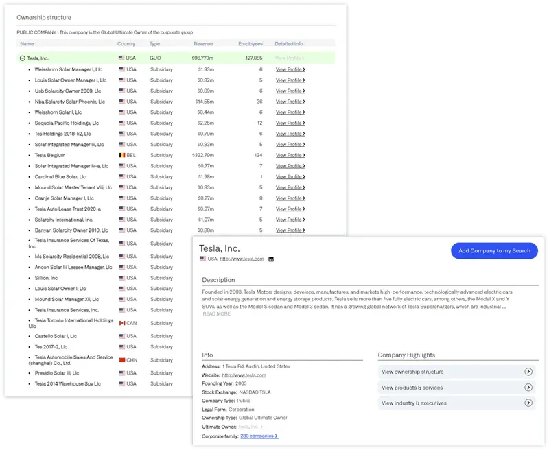 Ownership structure visualization showing corporate hierarchy and subsidiaries