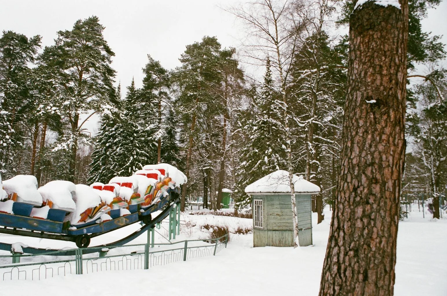 Exploring the Role of Market Multiples in Company Valuations